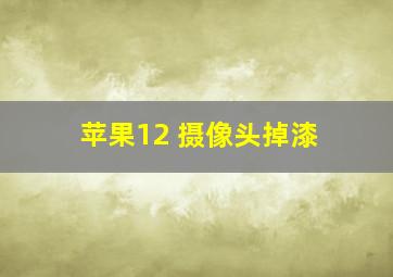 苹果12 摄像头掉漆